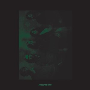 Tamer Animals - Atoms for Peace Remix