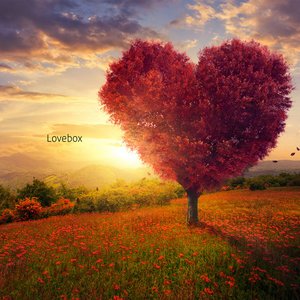 Love Box