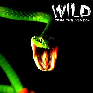 Wild Tribal Tech Selection