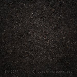 Immagine per 'Отпуск в пятое время года'