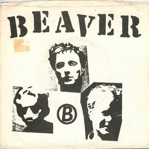 Beaver