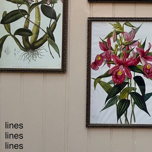 lines