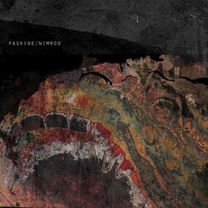 Paskine 的头像