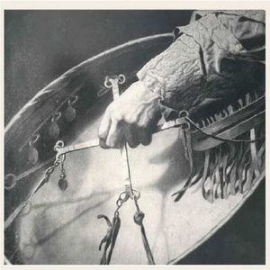 Monodonmonoceros 的头像