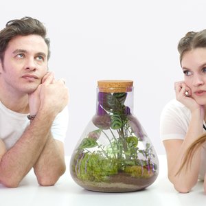 Avatar for Laura Crowe & Him