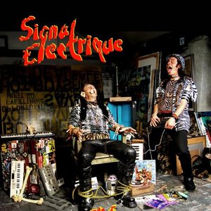 Signal Électrique 的头像