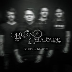 Scars & Bruises