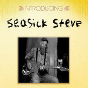 Introducing seasick steve