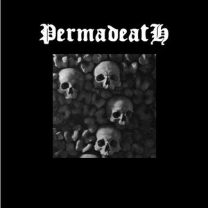 Permadeath 的头像