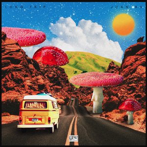 Long Trip
