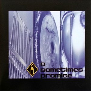 A Sometimes Promise