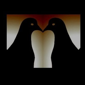 Street Pigeons 的头像