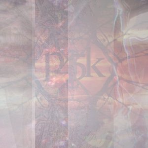 P45K 的头像