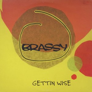 Image for 'Gettin Wise'