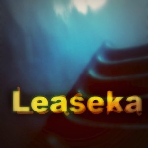 Leaseka 的头像