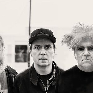 Avatar for Melvins (1983)