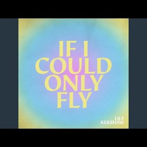 If I Could Only Fly