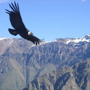 Grupo Comarca 的头像