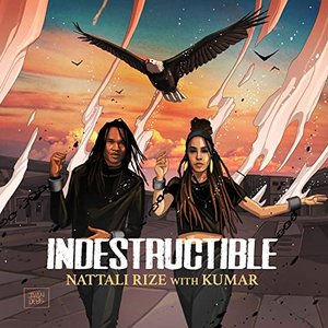 Indestructible