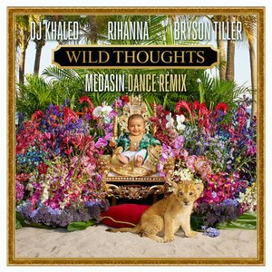 Wild Thoughts (feat. Rihanna & Bryson Tiller) [Medasin Dance Remix] - Single