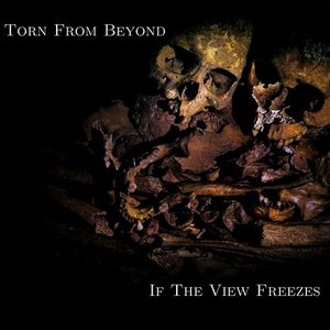 Torn From Beyond 的头像