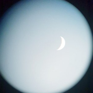 Pillar & the Moon (feat. Super 17) - Single