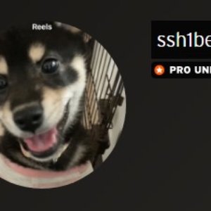 ‎ssh1be 的头像