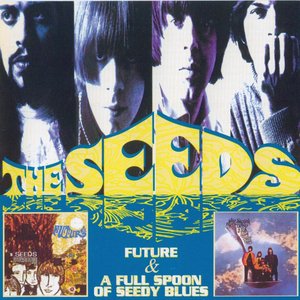 Future / A Full Spoon Of Seedy Blues