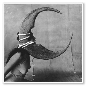 “Moonlover”的封面
