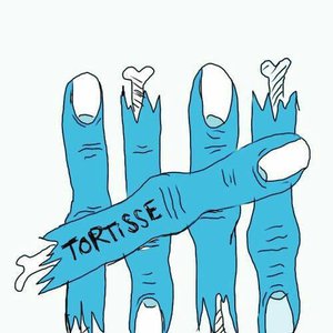 Tortisse (MG) 的头像