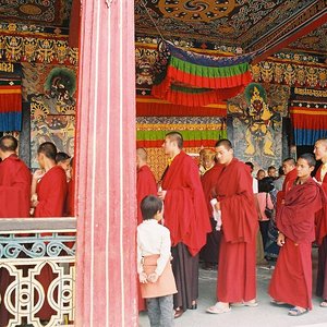 Avatar for Monks of Rumtek Monastery