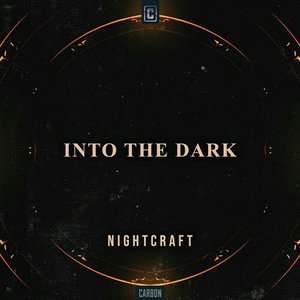 Into The Dark