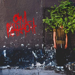 OWL PHARAOH