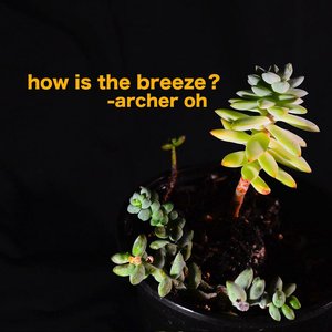How Is the Breeze?