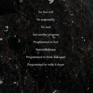 Program