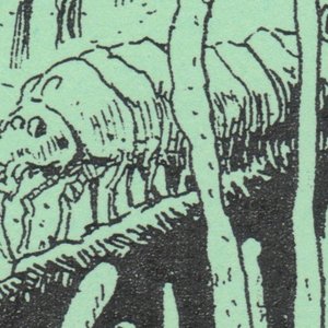 The Herbalists 的头像