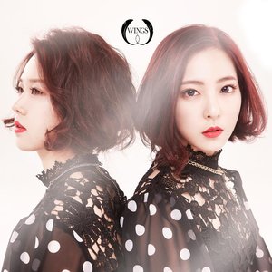 Avatar for WINGS (윙스)