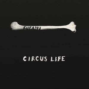 Circus life