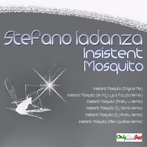 Insistent Mosquito