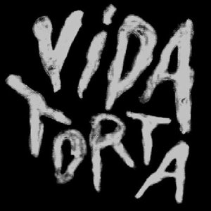 Vida Torta 的头像