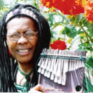 Stella Rambisai Chiweshe 的头像