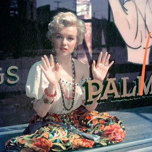 Marilyn Monroe 的头像