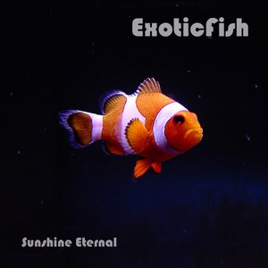 Avatar for ExoticFish