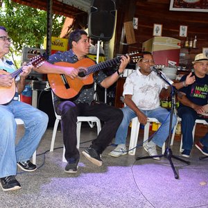 Awatar dla Grupo Vou Vivendo