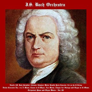 Vivaldi, J.S. Bach, Pachelbel, Albinoni, Schubert, Walter Rinaldi: String Concerto, Air On The G String, Violin Concerto No. 1 in A Minor, Canon in D Major, Ave Maria, Adagio for Strings and Organ in G Minor, Orchestral, Organ and Piano  Works - Vol. II