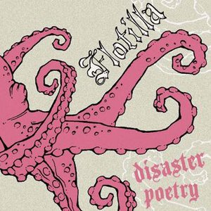 Disaster Poetry