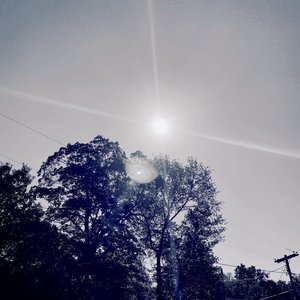 Place in the Sun - Single