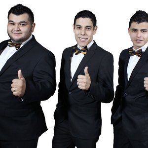 Los Tres Tristes Tigres 的头像