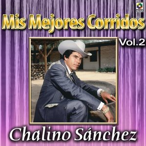 Mis Mejores Corridos Vol. 2