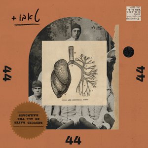 44